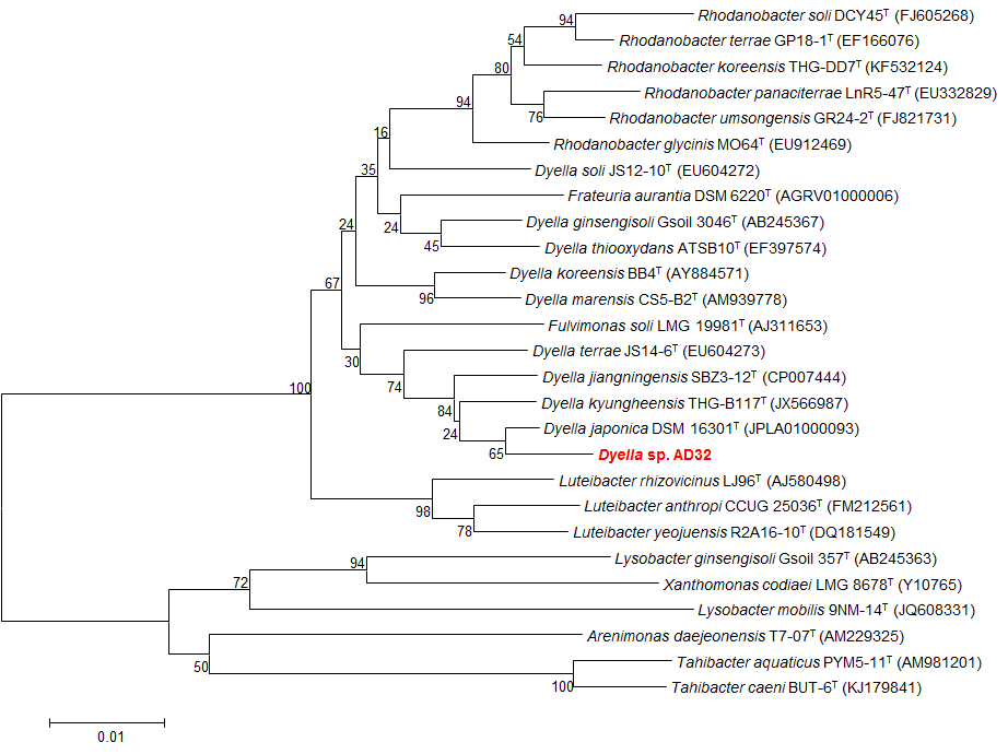 AD32 균주의 계통 수