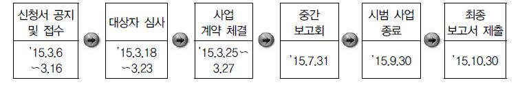 시범사업 공모 및 운영 절차