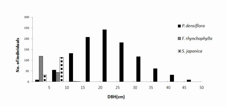 사문암지역(금계산, 법화산)의 소나무군락의 DBH Class 분석.