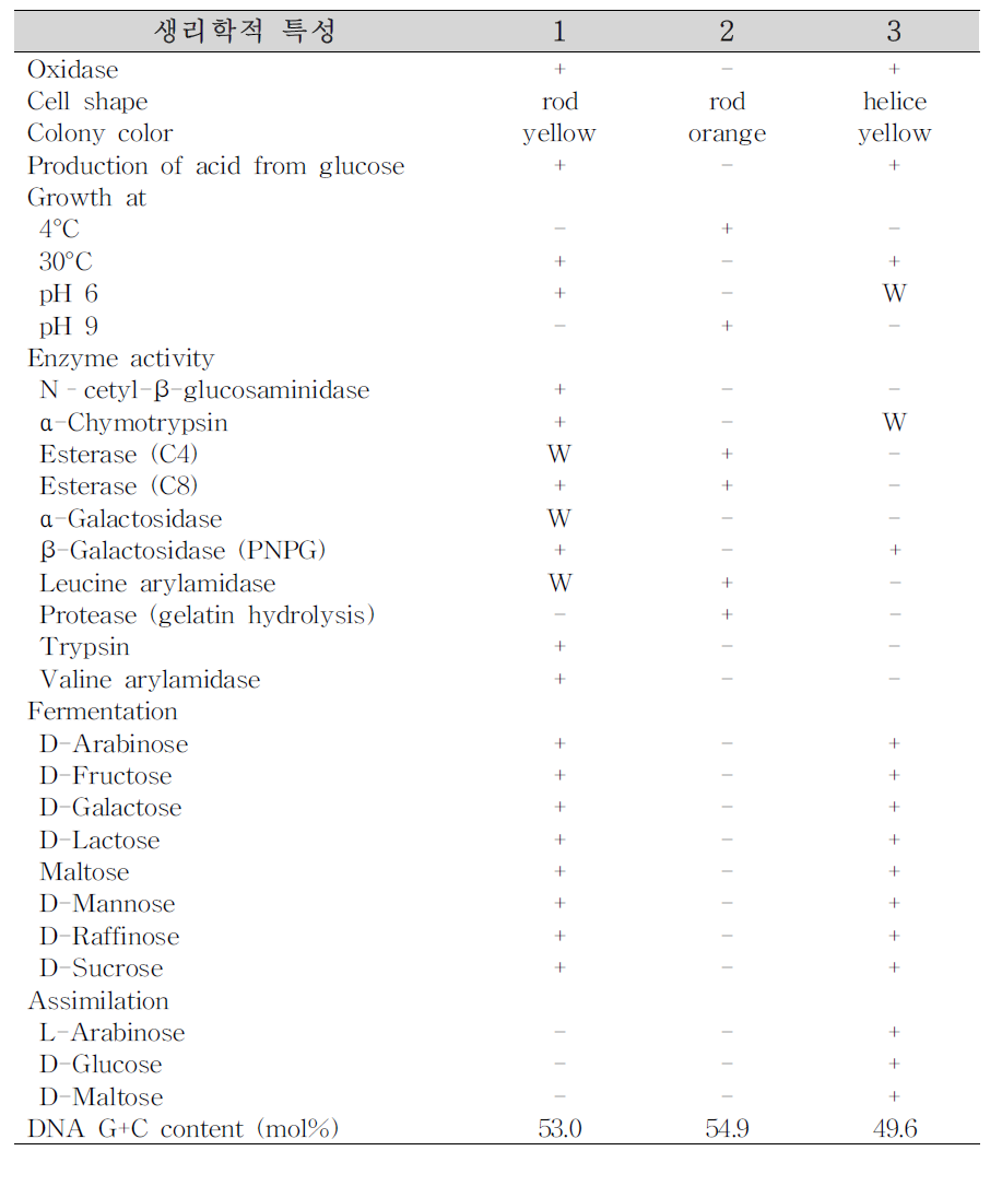 DY10 균주와 근연종의 생리학적 특성 비교