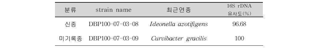 이탄층 미생물 발굴종