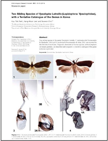 Two sibling Species of Ypsolopha Latrelle (Lepidoptera: Ypsolophidae),with a Tentative Catalogue of the Genus In Korea