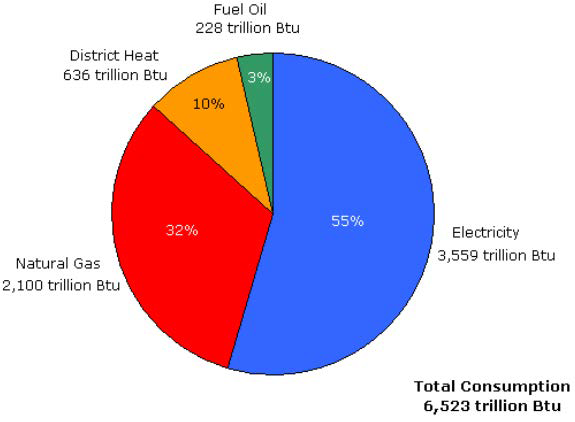 CBECS 2003, 에너지원별 소비량 및 소비 비중