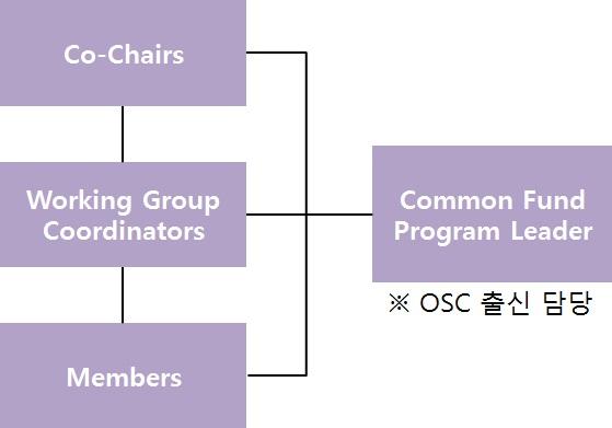 Common Fund Program 추진을 위한 Working Group 구조