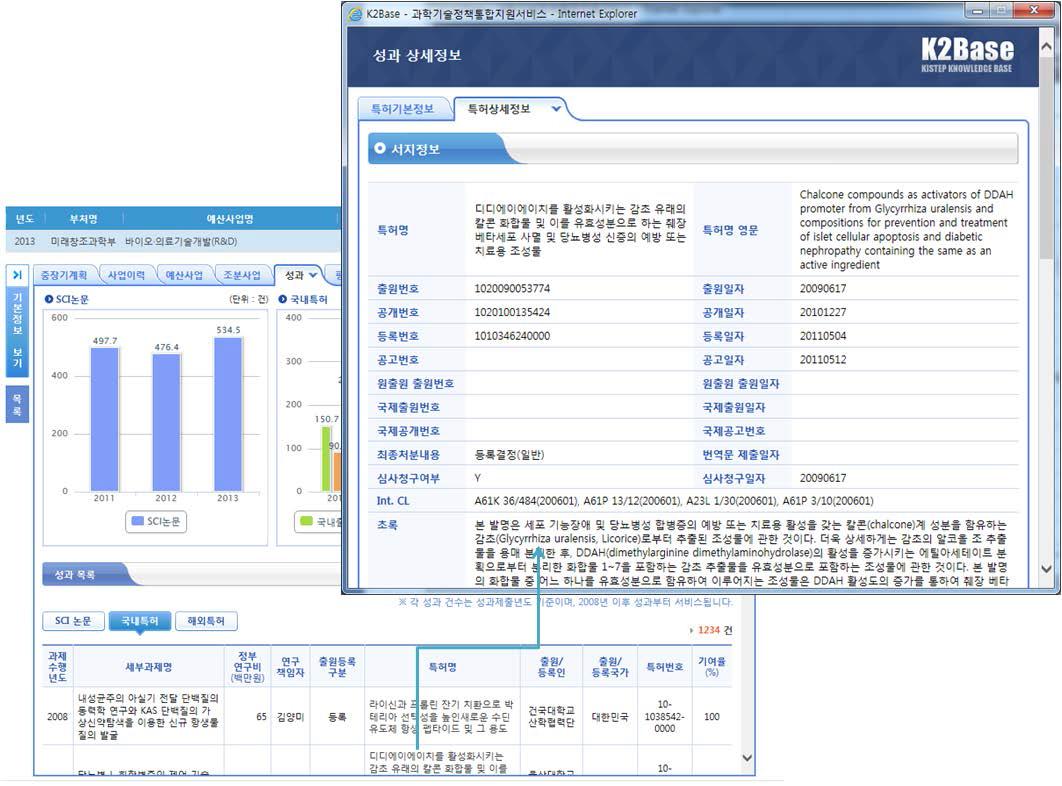 사업정보에 대한 특허 조회 화면