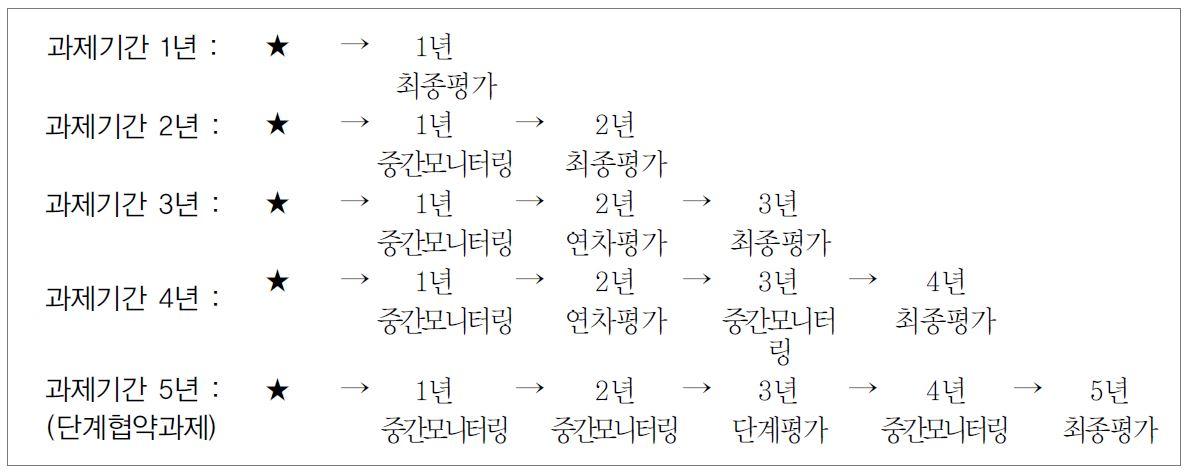 국가연구개발 과제평가 중간평가 수행시기 (예시)