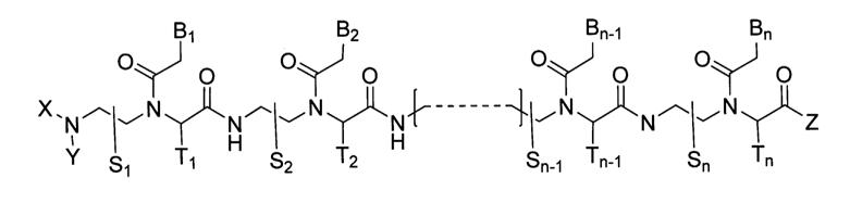 Peptide nucleic acid derivatives with good cell penetration and strong affinity for nucleic acid