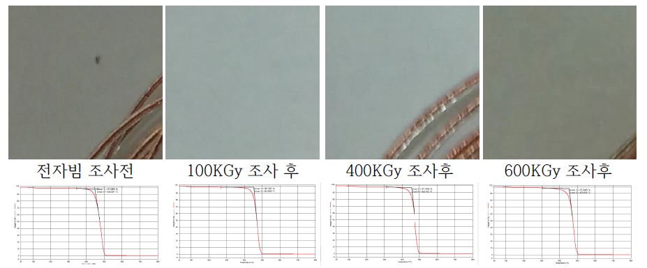 전자선 조사에 따른 내열도 변화시험