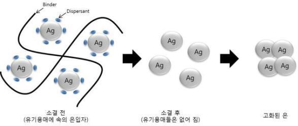 Ag sintering 모식도