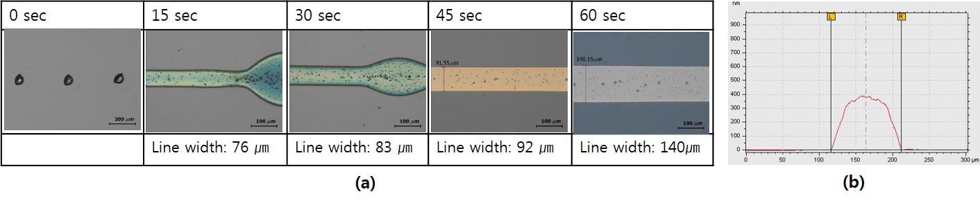 (a) SU-8 의 UV/O3 처리시간에 따른 drop spacing 20 ㎛로 인쇄된 Ag 라인의 광학현미경 이미지, (b) UV/O3 처리시간이 45 초일 때의 drop spacing 20 ㎛로 인쇄된 Ag 라인의 단면 프로파일