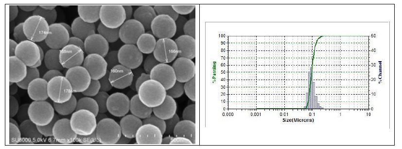 제조된 170 nm PS bead 의 FE-SEM 사진(왼쪽)과 입도 분석 결과(오른쪽)
