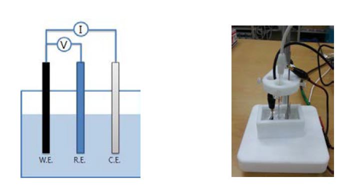 3전극 실험의 실험 모식도 및 실제 측정 장치 사진