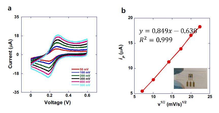 그림 4. 1 mM of potassium ferricyanide in 1 M KCl 용액에서 측정한 (a) Cyclic Voltammetry Curve 및 (b) ip 대비 v1/2 그래프.