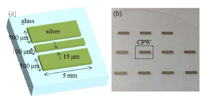 (a) CPW 의 설계, (b) 제작 결과