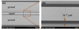 제작된 CPW의 SEM 사진