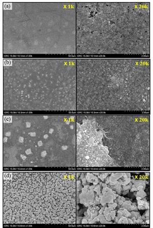 플라즈마 처리 이후의 SEM 사진. (a) O2 RF플라즈마 1분, (b) CF4 RF플라즈마 1분, (c) SF6RF플라즈마 1분, (d) O2 microwave 플라즈마 1분