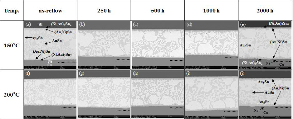 Au-20Sn 솔더접합부 시효처리후 단면 SEM 이미지