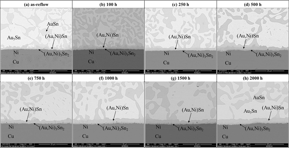 200℃에서 시효처리 후 Au-20Sn/Ni 솔더접합부 단면 SEM 이미지