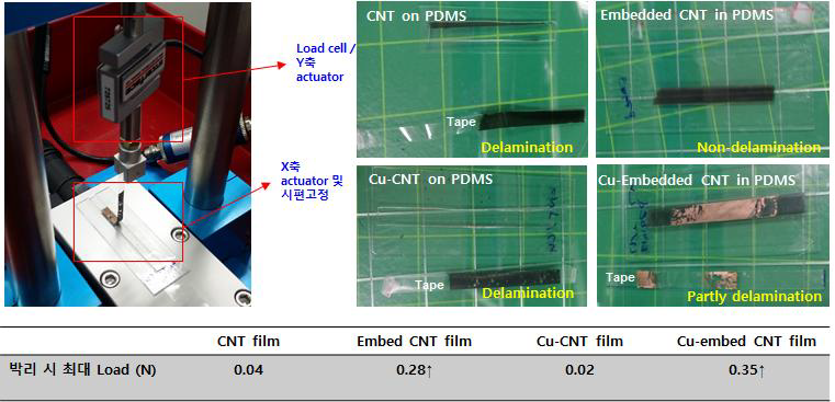 (왼쪽) Peel test, (오른쪽) Peel test 후 각각 테이프로 부터 박리 된카본 박막과 구리 도금 박막 쌤플