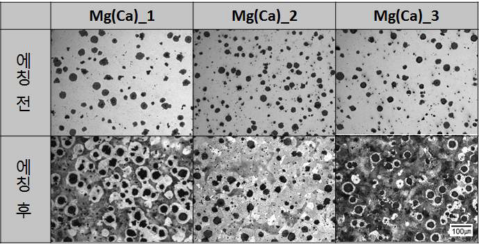 Mg(Ca) 종류에 따른 미세조직 변화