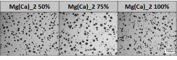 Mg(Ca)를 이용하여 얻어진 Full ferrite 기지조직
