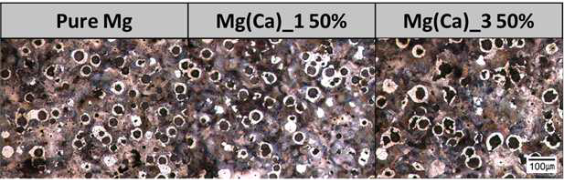 Mg(Ca)를 이용하여 얻어진 Full Pearlite 기지조직