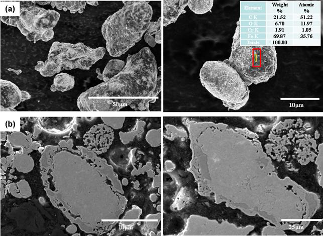 CO가스에 의해 환원 된 Fe-3wt%Cr-0.5wt%Mo 분말의(a)형상 및 (b)단면 FE-SEM 이미지