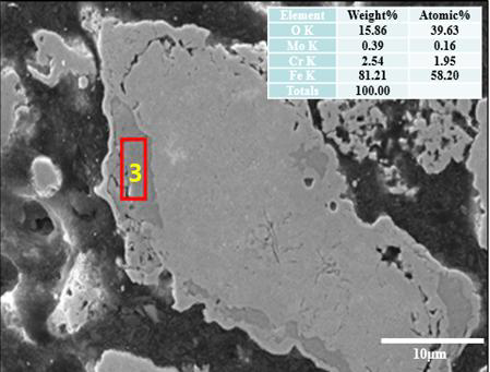CO 가스에 의해 환원 된 Fe-3wt%Cr-0.5wt%Mo 분말의 단면 EDS 분석