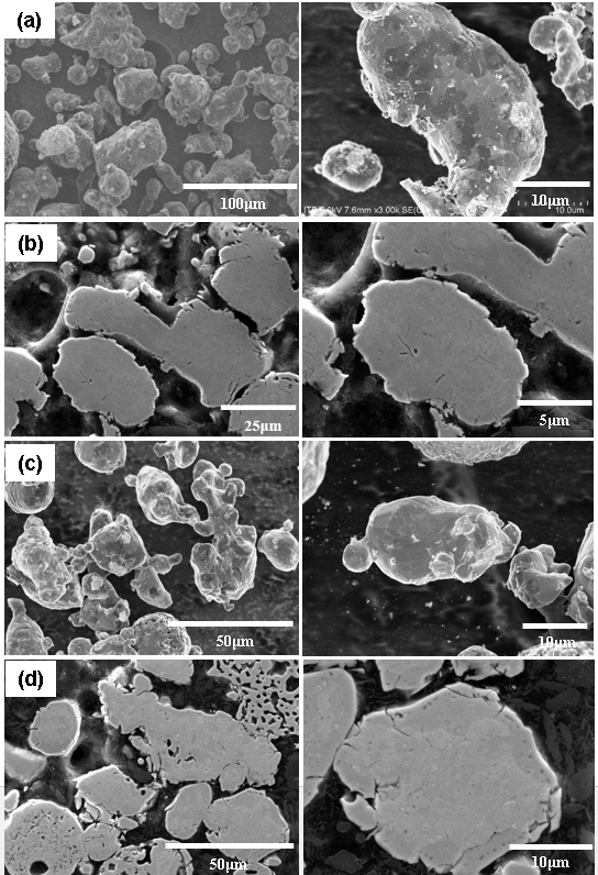 CH4-100cc/min gas flow rate샘플의 (a) 형상, (b) 단면 및 CH4-50cc/min+Ar-50cc/min gas flow rate샘플의 (c) 형상, (d) 단면의 FE-SEM 이미지