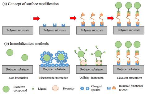 고분자표면처리 방법과 바이오물질의 immobilization