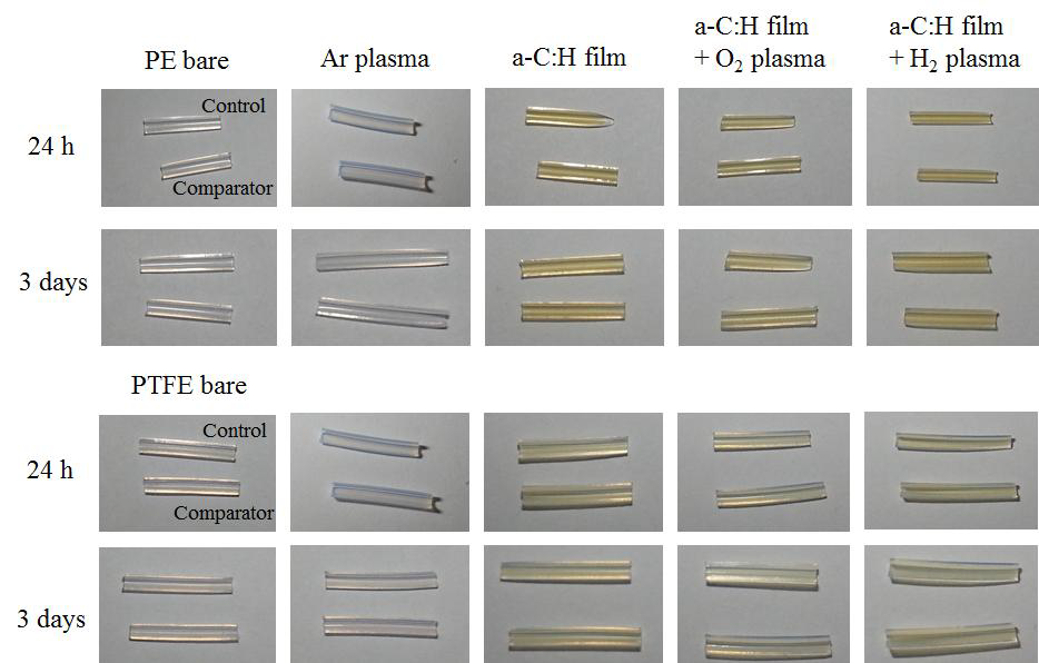 PE와 PTFE 고분자 튜브의 탄수화물 부착성