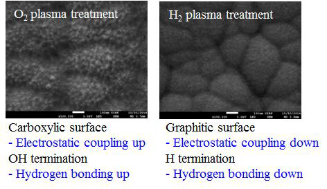 플라즈마 그래프팅된 표면형상과 표면의 탄소결합구조