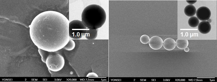 자외선 감응형 자기치유 고분자 마이크로/나노 캡슐의 SEM 이미지와 TEM 이미지