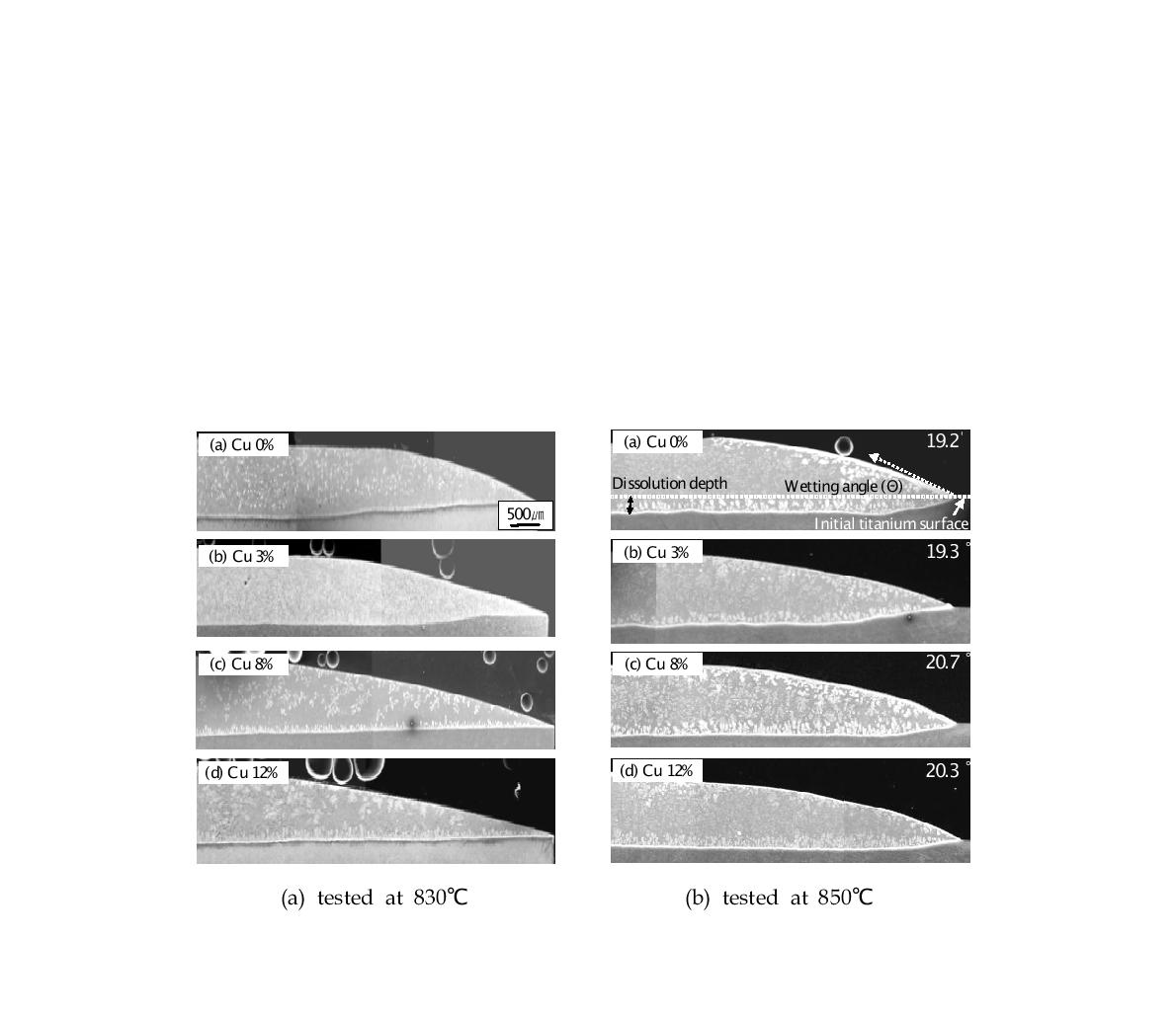 SEM images showing the wetting angle and the microstructure of the interfacebetween filler metal and CP titanium substrate tested for 30 min.