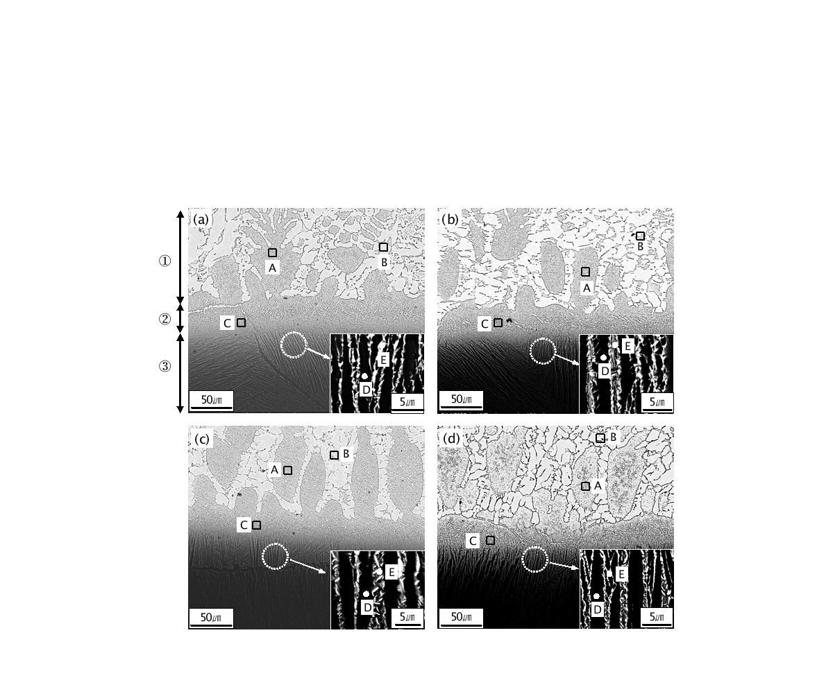 Back scattered electron images of the joint interface brazed at 850℃ for 30min with increasing the Cu contents in the filler metals