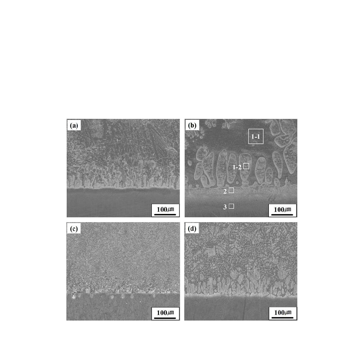 Microstructure of the CP titanium, (a) and (b), and Ti-6Al-4V, (c) and (d),substrate tested at 800℃ ; (a) 1 min, (b) 30 min, (c) 1 min and (d) 30 min.