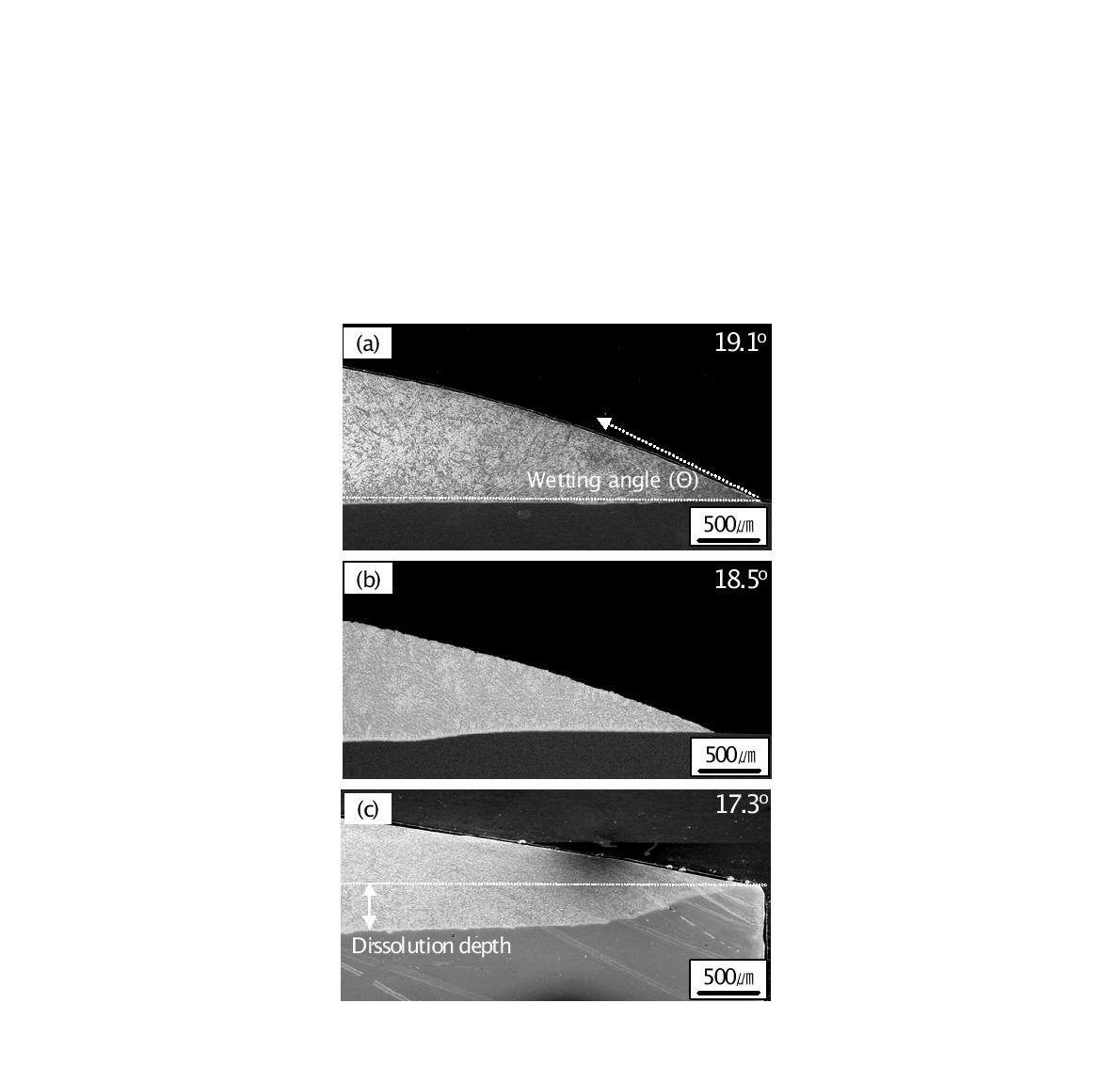 SEM images showing the wetting angle and the microstructure of the interfacebetween filler metal and β-21S substrate using Zr54Ti22Ni16Cu8 filler metal