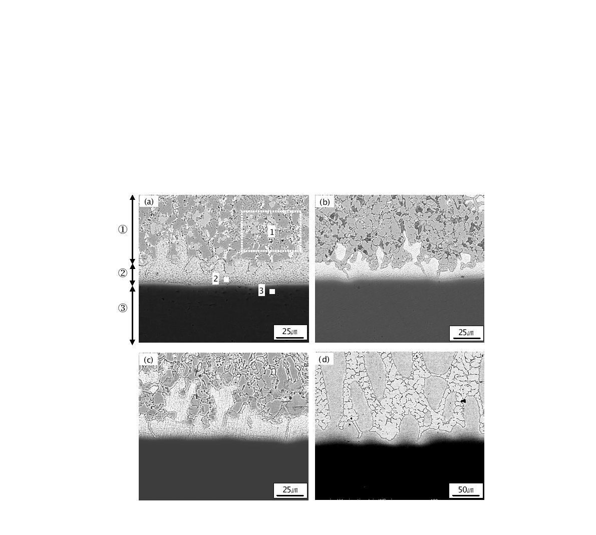 Back scattered electron images of the joint interface using Zr54Ti22Ni16Cu8 fillermetal