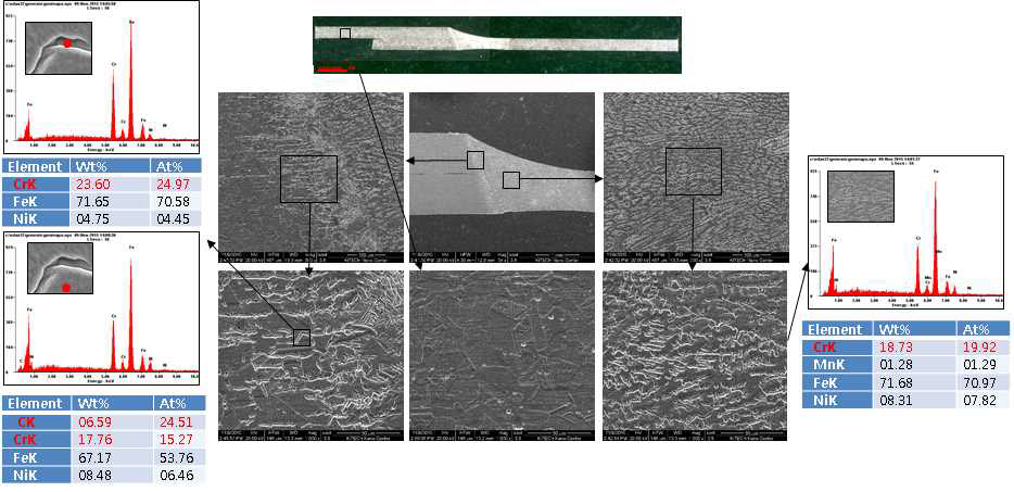 TIG용접부 SEM & EDS 분석 결과