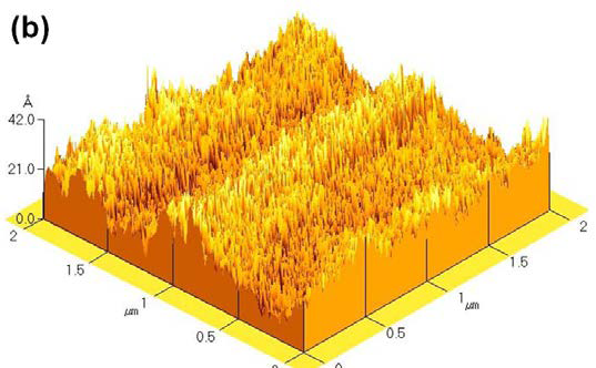 러빙처리 (a)전, (b)후의 AFM 이미지