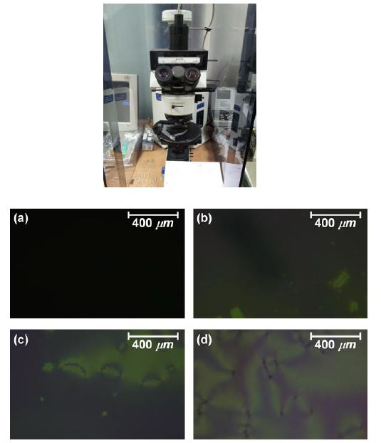 편광현미경 (Photomicroscope) 및 액정 셀의 열정안정성 특성
