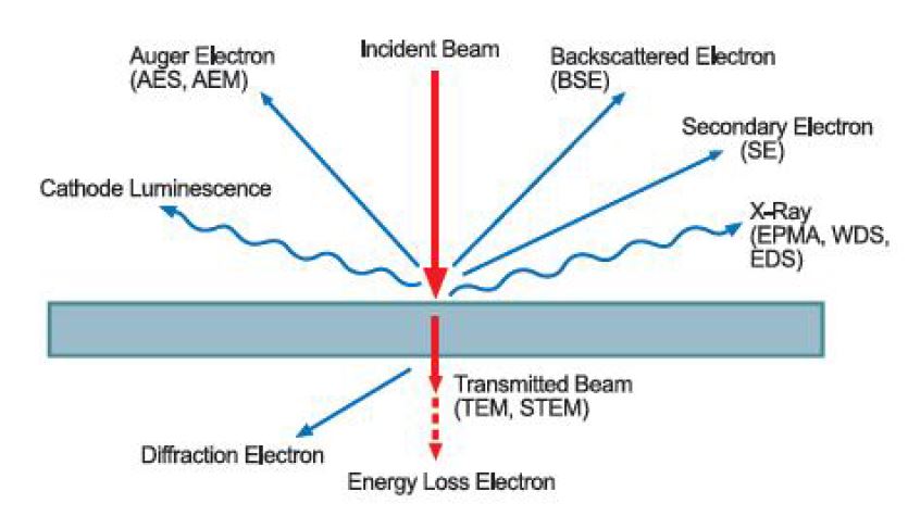 샘플에 전자빔이 입사할 경우 발생하는 여러 종류의 정보