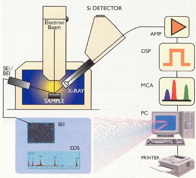 EDX의 구성도 (디텍터, Analyzer 및 컴퓨터로 구성)