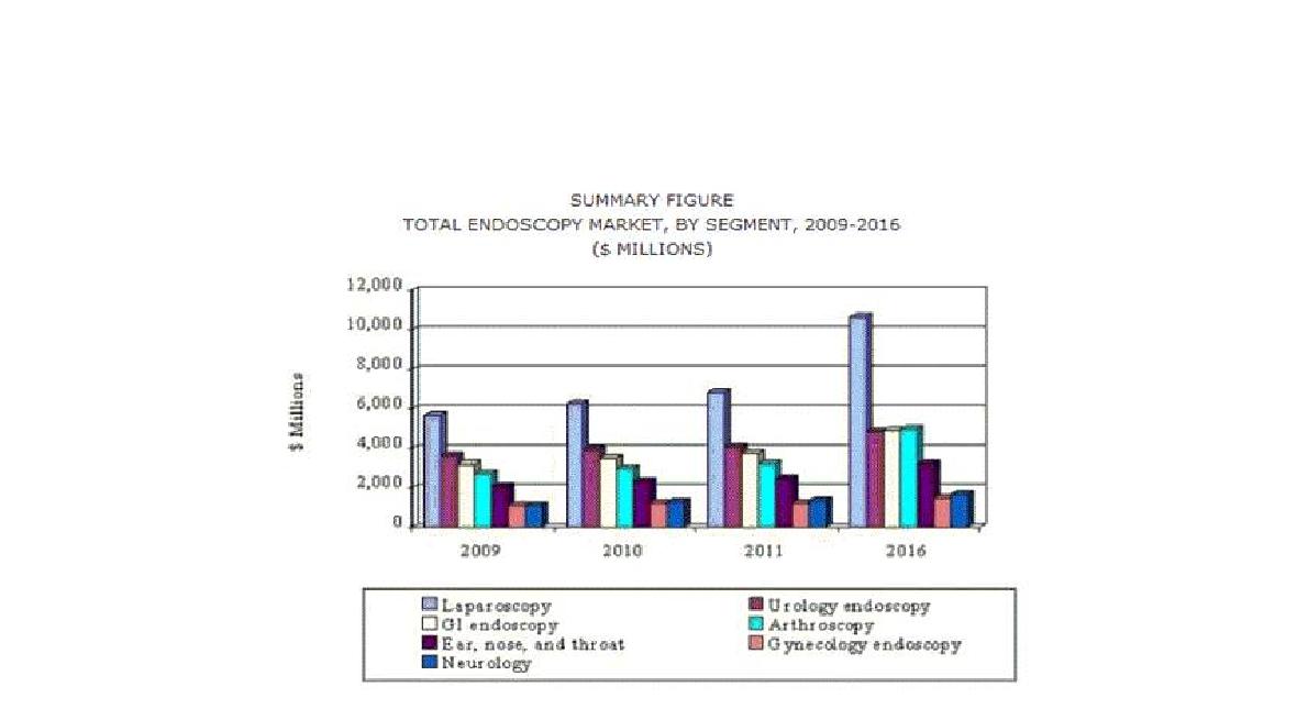 세계 내시경 시장규모 전망[19]