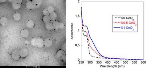 Encapsulation된 CeO2 의 TEM 이미지(좌)와 UV 흡수도 그래프