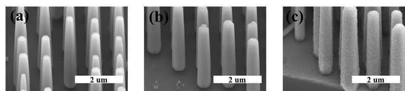 (a)수열합성법으로 성장된 ZnO nanorod arrary, (b) (a)위에 성장된 core-shell 구조의 ZnO/MgZnO 양자우물구조, (c) (b)위에 성장된 Sb 도핑된 p-type MgZnO의 SEM 이미지