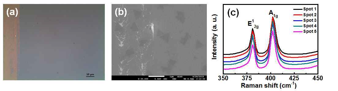 화학기상증착법을 이용하여 합성된 MoS2 박막의 (a) OM 이미지, (b) SEM이미지, (c) Raman spectra