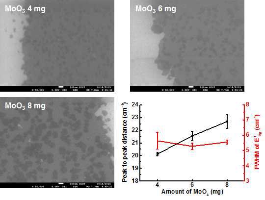 MoO3의 양에 따른 MoS2 박막의 SEM 이미지 및 Raman spectra 분석 결과