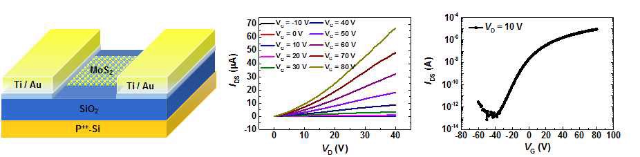 MoS2 기반 트랜지스터 제작 모식도 및 I -V 곡선