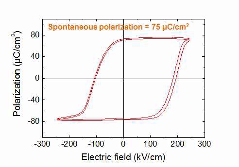 BiFeO3 박막의 PE-loop